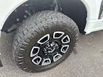 2024 Ford F-250 Crew Cab 4WD Pickup for sale #F64927D - photo 10