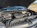 2023 Chevrolet Silverado 1500 Crew Cab 4WD Pickup for sale #F64955D - photo 20