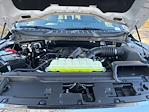 2025 Ford F-150 SuperCrew Cab 4WD Pickup for sale #F64966 - photo 19