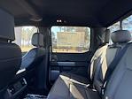 2025 Ford F-150 SuperCrew Cab 4WD Pickup for sale #F64966 - photo 25