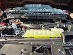 2025 Ford F-150 SuperCrew Cab 4WD Pickup for sale #F65058 - photo 19