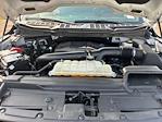 2023 Ford F-150 SuperCrew Cab 4WD Pickup for sale #F65393D - photo 19