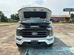 2023 Ford F-150 SuperCrew Cab 4WD Pickup for sale #F65393D - photo 20