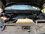 2023 Ford F-150 SuperCrew Cab 4x4 Pickup for sale #L20247D - photo 19