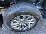 2024 Ford F-150 SuperCrew Cab 4WD Pickup for sale #L30479D - photo 15