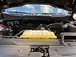 2022 Ford F-150 SuperCrew Cab 4x4 Pickup for sale #PA6514 - photo 19