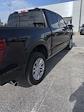 2024 Ford F-150 SuperCrew Cab 4WD Pickup for sale #PA6732 - photo 6