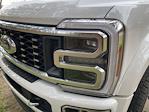 2024 Ford F-450 Crew Cab DRW 4x4 Pickup for sale #PF6122 - photo 10