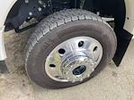 2024 Ford F-450 Crew Cab DRW 4x4 Pickup for sale #PF6122 - photo 11