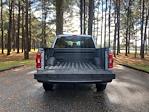 2023 Ford F-150 SuperCrew Cab 4x4 Pickup for sale #PF6217 - photo 17