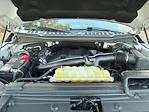2019 Ford F-150 SuperCrew Cab 4WD Pickup for sale #PF6439D - photo 19