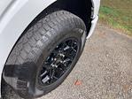 2024 Ford F-150 SuperCrew Cab 4x4 Pickup for sale #PF6524 - photo 16