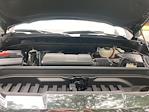 2024 GMC Sierra 1500 Crew Cab 4x4 Pickup for sale #V90456D - photo 19