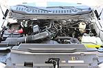 Used 2024 Ford F-250 XL Crew Cab for sale #T5051 - photo 41