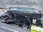 Used 2024 Ford F-250 XL Regular Cab for sale #T5063 - photo 10