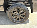 2025 Ram 2500 Crew Cab 4WD Pickup for sale #302662 - photo 24