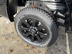 2025 Ram 2500 Crew Cab 4WD Pickup for sale #302831 - photo 18