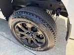 New 2025 Ram 2500 Laramie Mega Cab 4WD Pickup for sale #302841 - photo 19