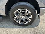 2024 Ford F-150 SuperCrew Cab 4WD Pickup for sale #3P1679 - photo 16
