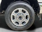 New 2025 Ford F-350 XLT Regular Cab 4WD SRW Pickup for sale #25FK291 - photo 31