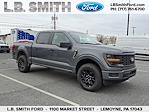 2025 Ford F-150 SuperCrew Cab 4x4 Pickup for sale #T25252 - photo 1