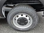 New 2024 Ford Transit 250 Low Roof Empty Cargo Van for sale #T241132 - photo 4