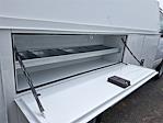 New 2025 Ford E-350 Service Utility Van for sale #T25388 - photo 7
