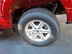 2025 Ford F-150 SuperCrew Cab 4x4 Pickup for sale #T25814 - photo 5
