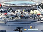 2024 Ford F-350 Crew Cab SRW 4WD Pickup for sale #T26093A - photo 36