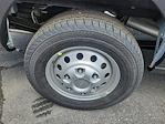 2024 Ford Transit 350 HD Low Roof RWD Empty Cargo Van for sale #T5181A - photo 7