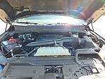 Used 2022 Ford F-150 Tremor SuperCrew Cab 4x4 Pickup for sale #1BC4223A - photo 38