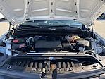 Used 2024 Chevrolet Silverado 1500 Work Truck Regular Cab for sale #1CT8188 - photo 26