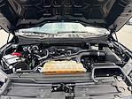 Used 2023 Ford F-150 XL SuperCrew Cab for sale #1FT0969 - photo 33