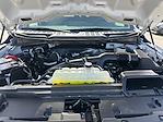 Used 2024 Ford F-150 STX SuperCrew Cab 4x4 Pickup for sale #1FT3689 - photo 32
