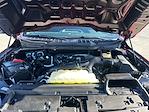 Used 2024 Ford F-150 STX SuperCrew Cab for sale #1FT5009 - photo 32