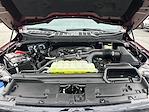 Used 2024 Ford F-150 XLT SuperCrew Cab for sale #1FT7780 - photo 33