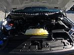 Used 2023 Ford F-150 XL Regular Cab for sale #1FT8987 - photo 27