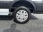 Used 2023 Ford Transit 250 Low Roof Empty Cargo Van for sale #1FV9685 - photo 23