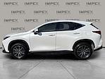Used 2024 Lexus NX 250 Premium for sale #1LT4399 - photo 2