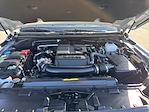 Used 2024 Nissan Frontier PRO-4X Crew Cab for sale #1NT8572 - photo 35