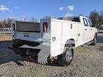 Used 2022 Ram 3500 Crew Cab Cab Chassis for sale #1RT9562 - photo 2