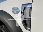 Used 2017 Ford F-450 Super Cab Landscape Dump for sale #4FT0696 - photo 44