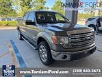 2014 Ford F-150 SuperCrew Cab 4WD Pickup for sale #EFA65693 - photo 1