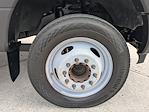 2017 Ford F-550 Regular Cab DRW RWD Landscape Dump for sale #HEE5125B - photo 14