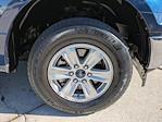 2018 Ford F-150 Regular Cab RWD Pickup for sale #JKD87791 - photo 6