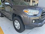 2019 Toyota Tacoma Double Cab RWD Pickup for sale #KX139751 - photo 1