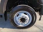 Used 2022 Ford F-450 Regular Cab Landscape Dump for sale #NDA2669B - photo 11