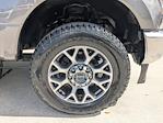 2022 Ford F-350 Crew Cab SRW 4WD Pickup for sale #NED2505A - photo 11