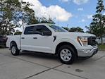 2022 Ford F-150 SuperCrew Cab RWD Pickup for sale #NFA0581D - photo 3