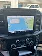 2023 Ford F-150 SuperCrew Cab 4WD Pickup for sale #PFB71973 - photo 7